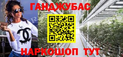 хмурый Сланцы
