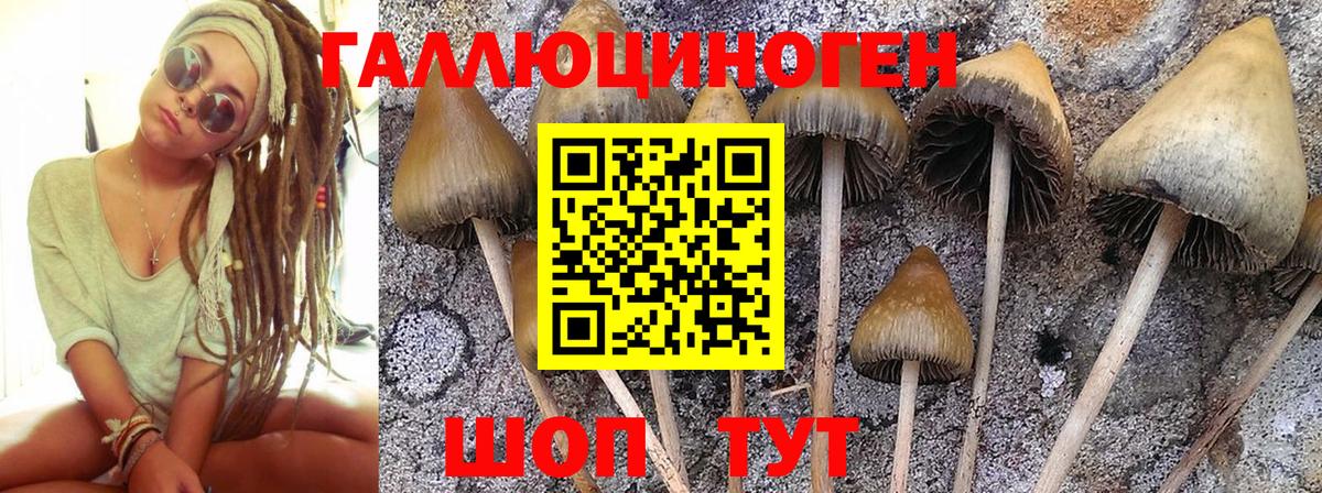 Петрозаводск  Галлюциногенные грибы мицелий  цена   Вход с VPN  Галлюциногенные грибы прущие грибы 